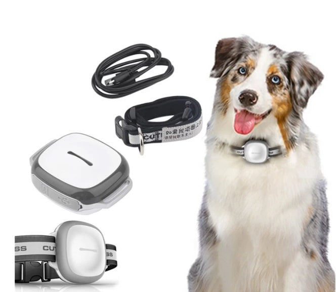 Locator Pet - GPS Tracking Device for Pets | Real-time Location Tracking