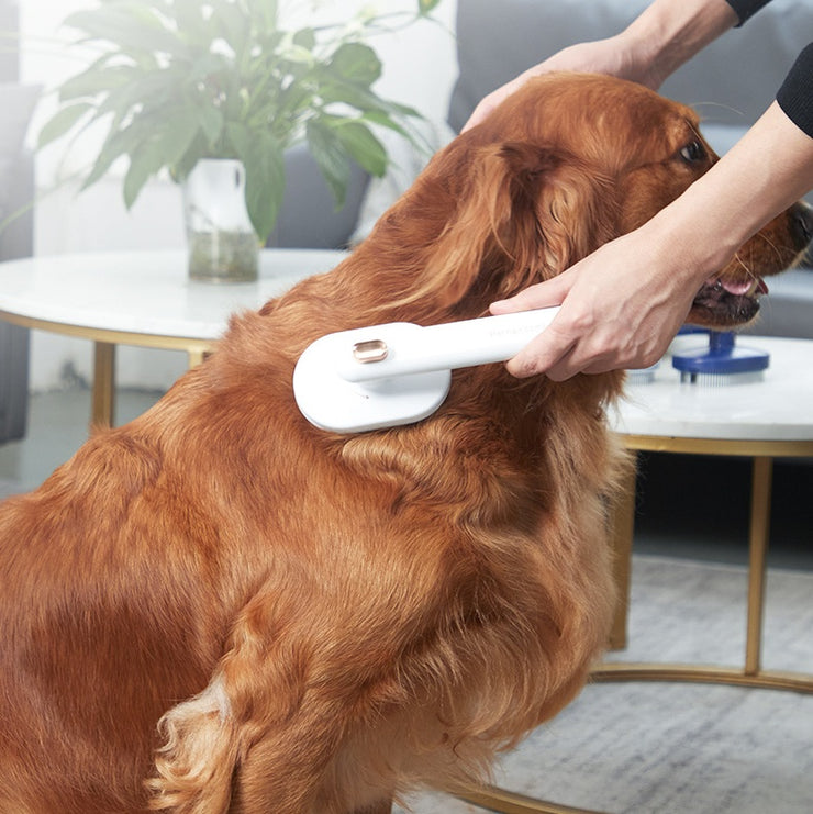 Self-Cleaning Pet Grooming Brush for Dogs & Cats