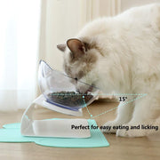 Non-Slip Raised Cat Bowl with Stand – Pet Feeder