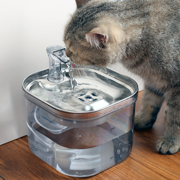 Automatic Pet Water Fountain – Stainless Steel Dispenser